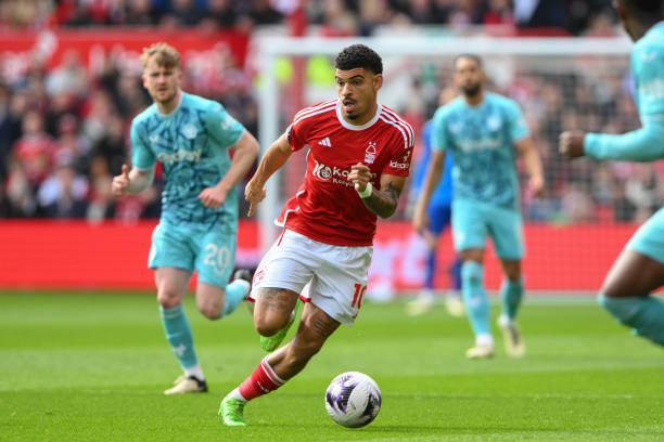 能为维特塞 能为维特塞