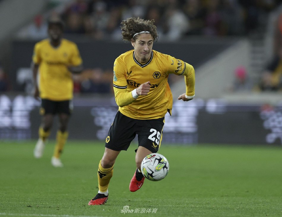 形成了一片 形成了一片